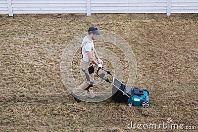 Scarifying lawn with scarifier, Man gardener scarifies the lawn and removal of old grass Stock Photo