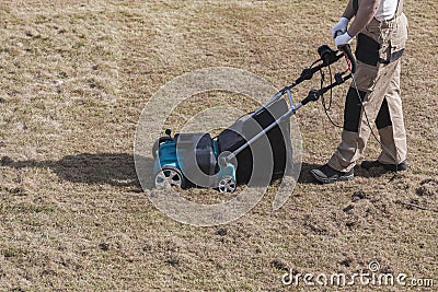 Scarifying lawn with scarifier, Man gardener scarifies the lawn and removal of old grass Stock Photo