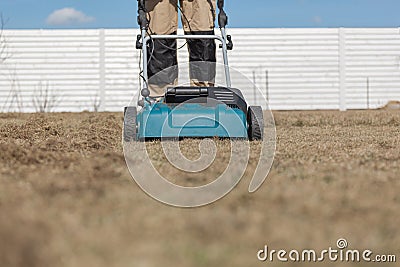 Scarifying lawn with scarifier, Man gardener scarifies the lawn and removal of old grass Stock Photo