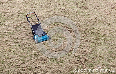 Scarifying lawn with scarifier, scarifies the lawn and removal of old grass Stock Photo