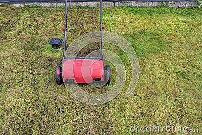 Scarifying the lawn before the winter season using an electric scarifier. Stock Photo