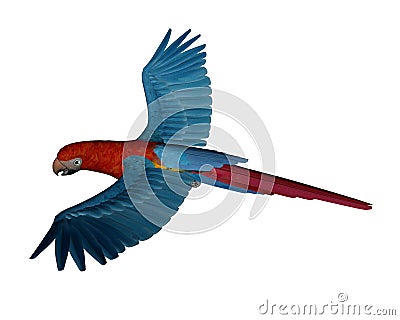 Scarlet macaw, parrot, flying - 3D render Stock Photo