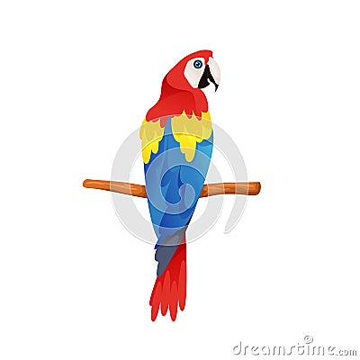Scarlet Macaw or parrot, vector icon or clipart. Vector Illustration
