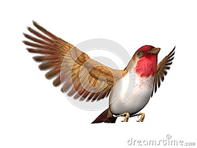 Scarlett finch bird - 3D render Stock Photo