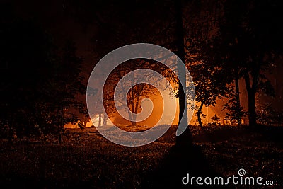 Scary autumn park in the fog at night. Stock Photo