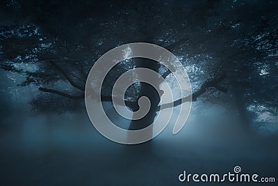 Scary creepy tree on nightmare forest Stock Photo