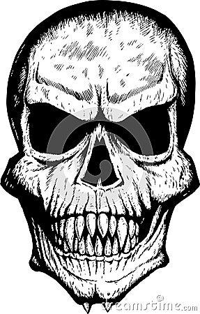Scary Front Skull Stock Images - Image 8195894