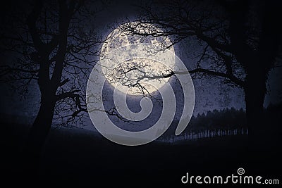 Scary halloween landscape at night with trees and full moon Stock Photo