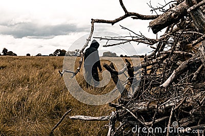 A scary hooded figure standing in a field framed by branches with a muted edit Stock Photo