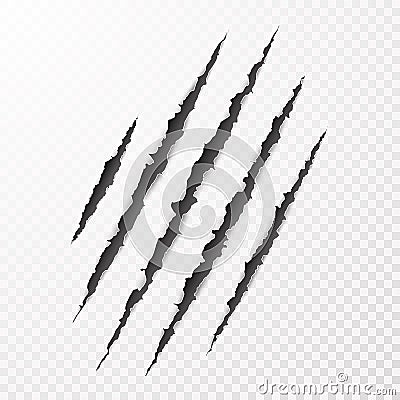 Scary leceration paper surface. Wild animal claws scratch texture. Torn paper edge. vector illustration Vector Illustration