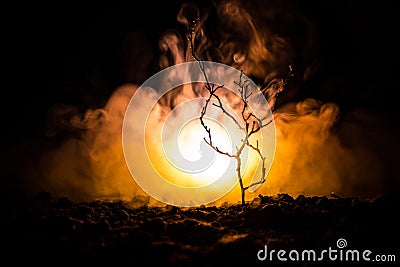 scary night street light in the tree fog, Tree branches on a fire foggy background. Dark orange toned Stock Photo