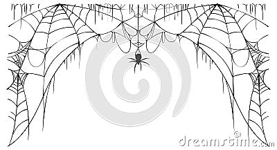 Scary spider web and poisonous spider top frame on white background symbol of halloween Vector Illustration