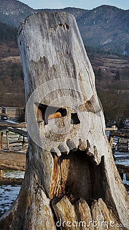 Scary tree trunk in the winter Stock Photo