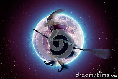 Scary witch flying on a broomstick on the background of a full moon Stock Photo