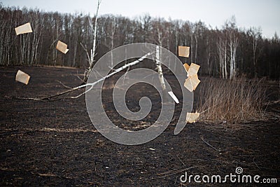 Scattered pages of a book fluttering in the wind against the backdrop of a burned meadow. A series of photos Stock Photo