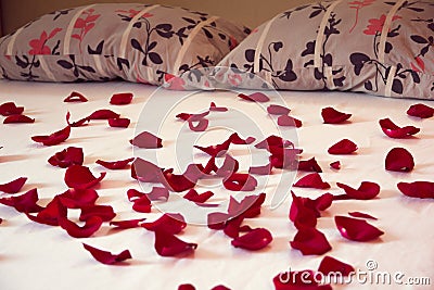 Scattered petals from red roses on a bed Stock Photo