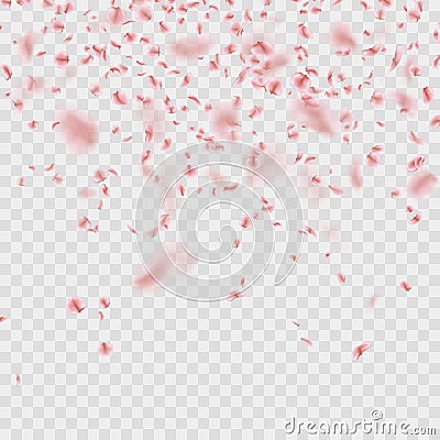 Scattered Sakura petals on transparent background. EPS 10 vector Vector Illustration