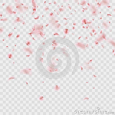 Scattered Sakura petals on transparent background. EPS 10 vector Vector Illustration