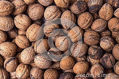 Scattered whole walnuts texture. Pattern, nuts background, texture close-up. Stock Photo