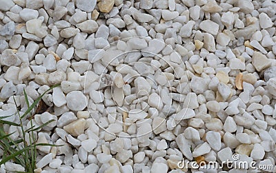 A scattering of light pebbles and some green grass. Stock Photo