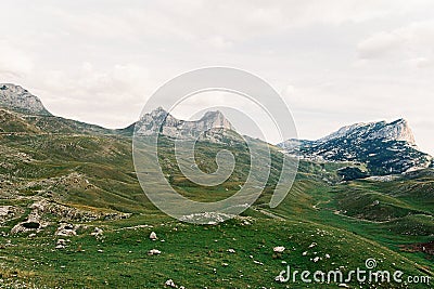 Scattering of stones on the green mountain slopes Stock Photo