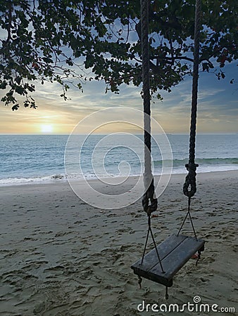 Scene of the singe rope tree swing at the seaside Stock Photo