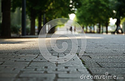 Scene of the stone pavement of the park Stock Photo