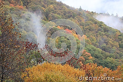 A scene to embrace and to breathe in Stock Photo