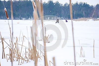 A scene from the winter ice fishing on a wild lake. In the distance are the figures of fishermen on a frozen lake with white snow Editorial Stock Photo