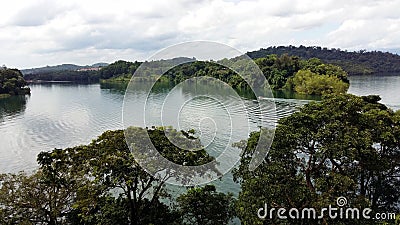 A sceneic veiw of green water lake and forest Stock Photo