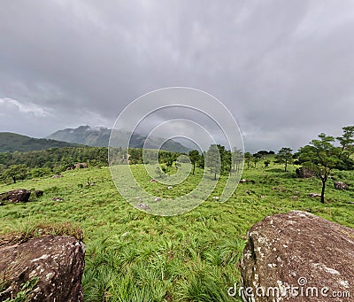 A sceneic veiw of meadow filled with grass, rocks and trees Stock Photo