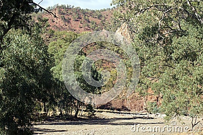 Scenery, Ikara-Flinders` Ranges National Park, SA, Australia Stock Photo