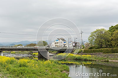 Scenery of Kamogawa with yellow flowers and bridge Editorial Stock Photo
