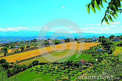 Scenery from Morrovalle with Marche hills, green and farmed fields, trees and houses Stock Photo