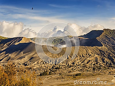 Mount Bromo Crater Stock Photo