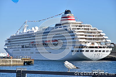 Scenery of passenger ships and seabirds in Japan Port of Yokohama Stock Photo