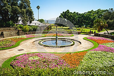 Scenery of Royal Botanic Gardens in sydney, australia Stock Photo
