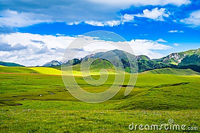 Scenery of Ruoergai grassland in early autumn Stock Photo