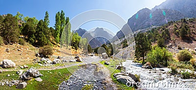 Scenery summer panorama of mountains, stormy mountain river and narrow track. Forest is along stormy mountain river Stock Photo