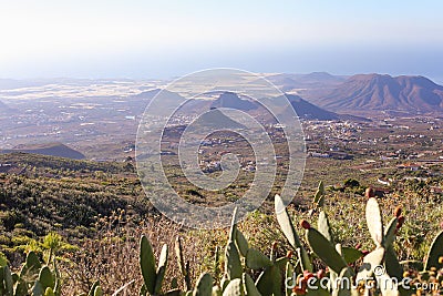 Scenery valley in Spain. Travel adventures and outdoor lifestyle. Cactus,vegetation and sunset panorama in Tenerife Stock Photo