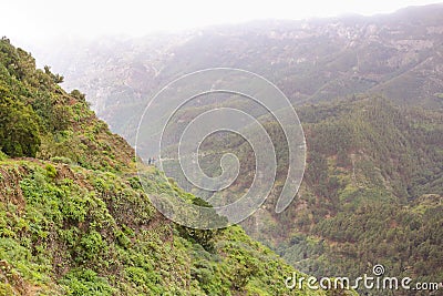 Scenery valley in Spain.Nature landscape. Cactus,vegetation and sunset panorama in Tenerife Stock Photo