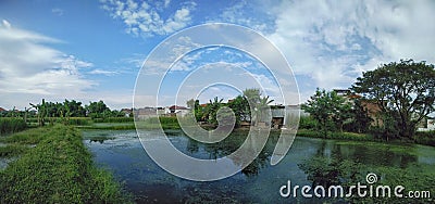 Scenic view of fish pond and clear blue sky background Stock Photo