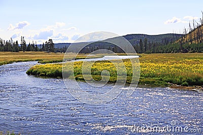 The scenery of Yellowstone National Park Stock Photo