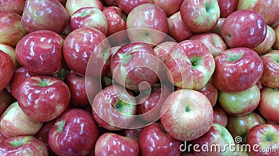 Scenes from Autumn in Ohio: Apples Stock Photo