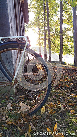 Scenes from Autumn in Ohio Stock Photo