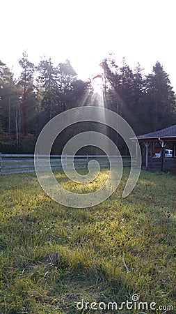 Scenes from Autumn in Ohio Stock Photo