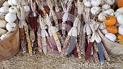 Scenes from Autumn in Ohio Stock Photo