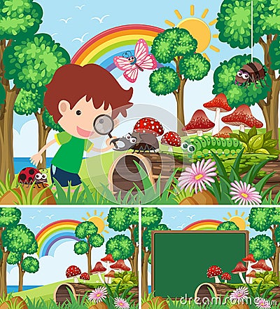 Scenes with boy looking at many insects in garden Vector Illustration