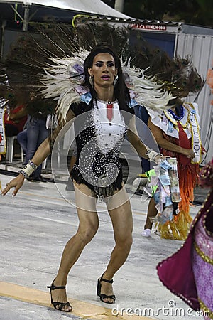 Scenes of Carnaval 2020 in Santos Editorial Stock Photo