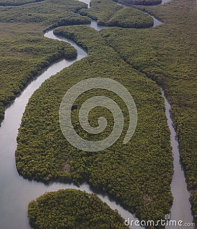 Scenic aerial view of the beautiful wetlands and glistening waters, with lush vegetation Stock Photo